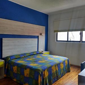 Deluxe Suite met een King Size Bed